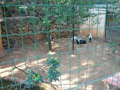 183 D21 SANARY SUR MER 1_000062